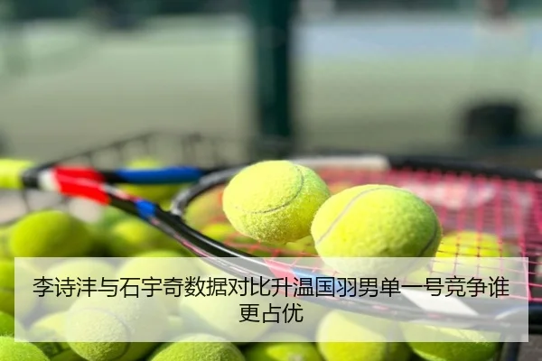 李诗沣与石宇奇数据对比升温国羽男单一号竞争谁更占优