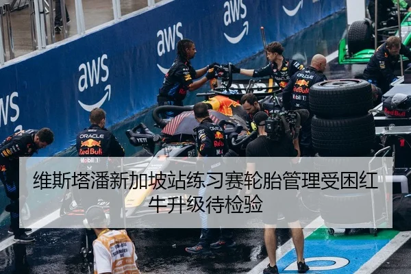维斯塔潘新加坡站练习赛轮胎管理受困红牛升级待检验